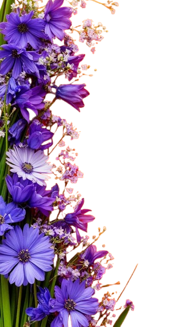 Botanical Asset Left